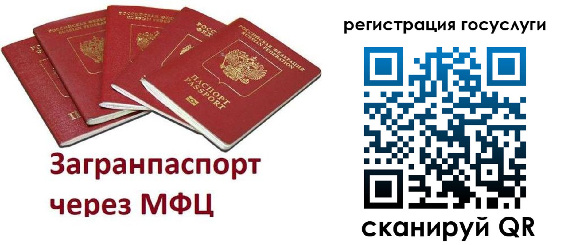 прописка 2025 в Брянской области